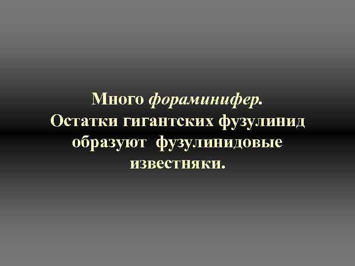 Много фораминифер. Остатки гигантских фузулинид образуют фузулинидовые известняки. 