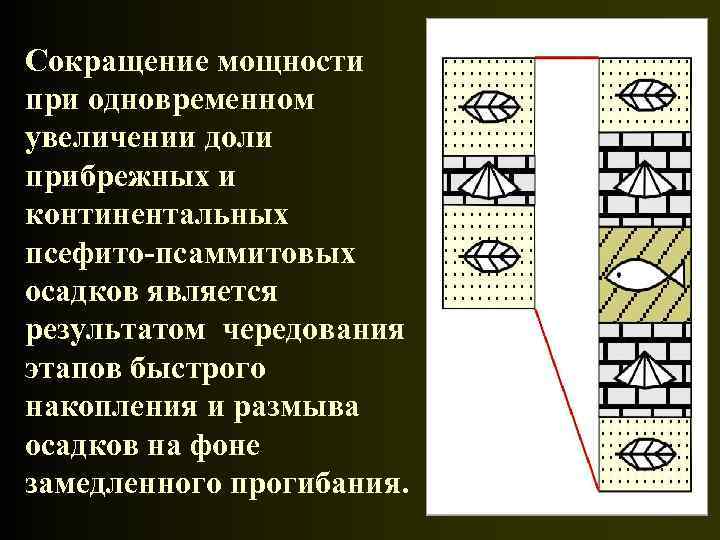 Сокращение мощности при одновременном увеличении доли прибрежных и континентальных псефито-псаммитовых осадков является результатом чередования