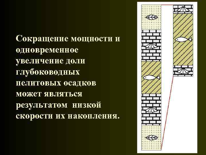 Сокращение мощности и одновременное увеличение доли глубоководных пелитовых осадков может являться результатом низкой скорости