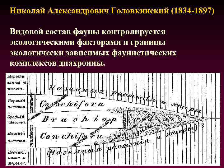 Николай Александрович Головкинский (1834 -1897) Видовой состав фауны контролируется экологическими факторами и границы экологически