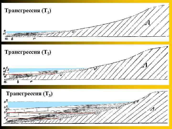 Трансгрессия (Т 1) Трансгрессия (Т 2) Трансгрессия (Т 3) 