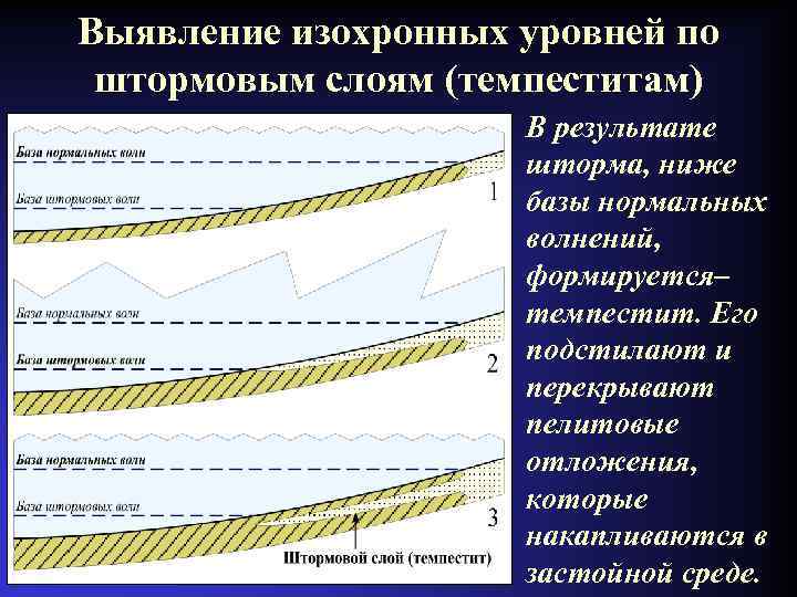 Выявление изохронных уровней по штормовым слоям (темпеститам) В результате шторма, ниже базы нормальных волнений,