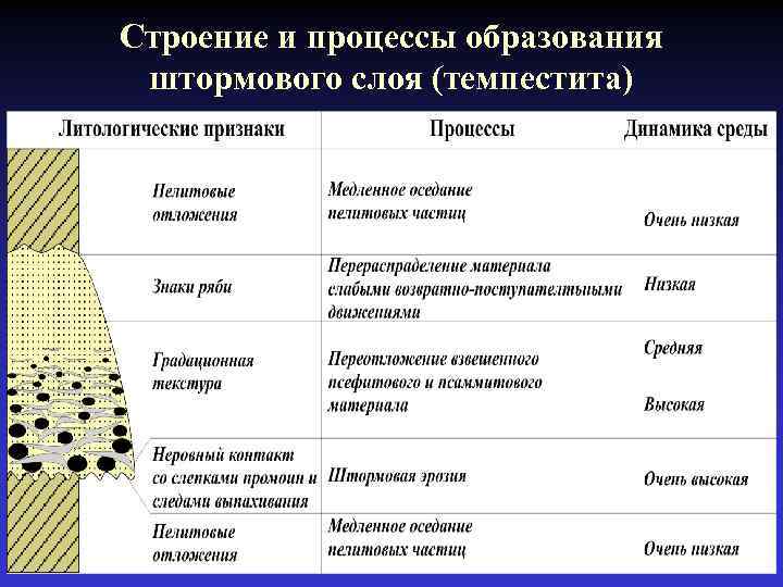 Строение и процессы образования штормового слоя (темпестита) 