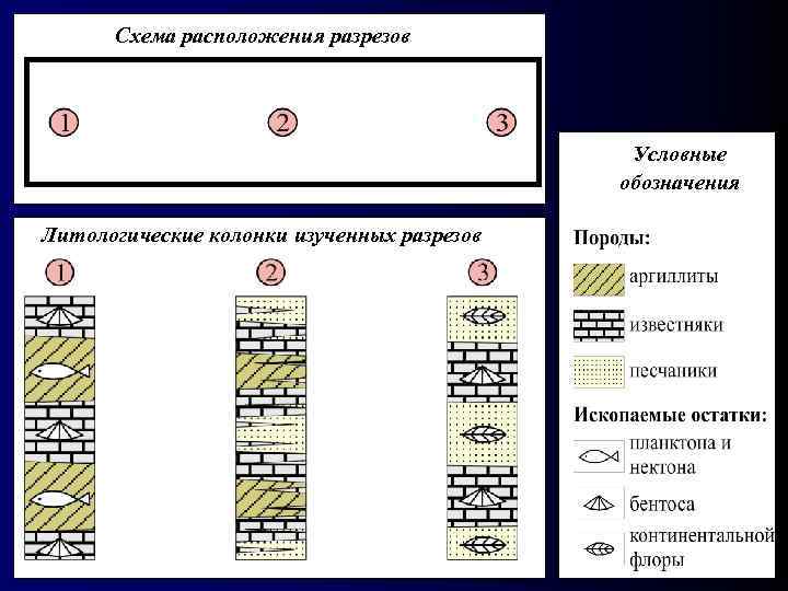 Схема расположения разрезов Условные обозначения Литологические колонки изученных разрезов 