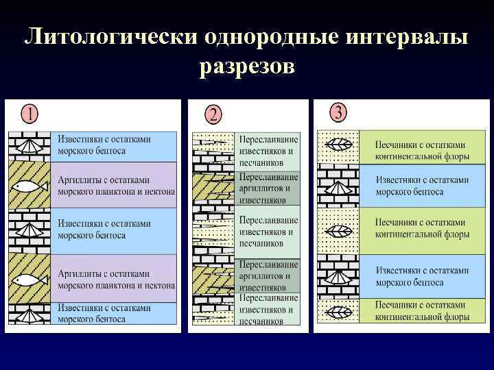 Литологически однородные интервалы разрезов 