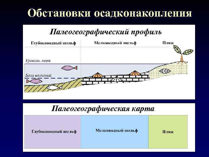 Обстановки осадконакопления Палеогеографический профиль Палеогеографическая карта 