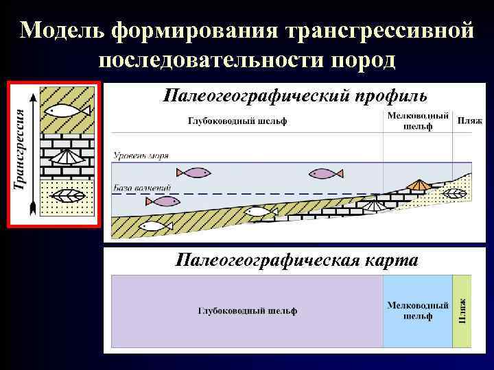 Модель формирования трансгрессивной последовательности пород Палеогеографический профиль Палеогеографическая карта 