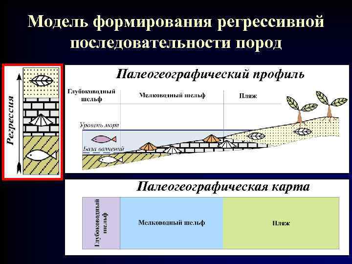 Модель формирования регрессивной последовательности пород Палеогеографический профиль Палеогеографическая карта 