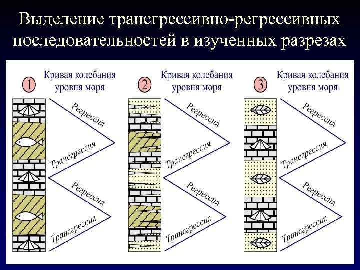 Выделение трансгрессивно-регрессивных последовательностей в изученных разрезах 