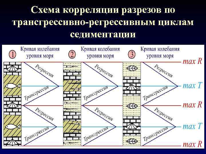 Схема корреляции разрезов по трансгрессивно-регрессивным циклам седиментации 