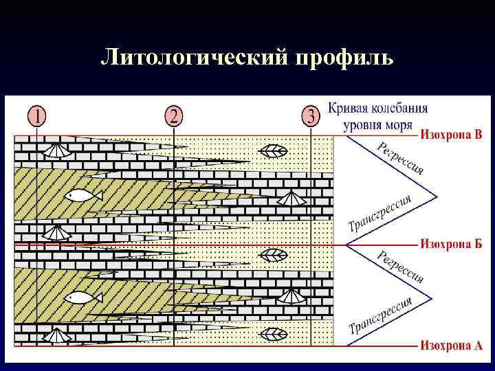 Литологический профиль 