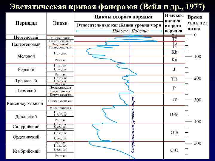 Эвстатическая кривая фанерозоя (Вейл и др. , 1977) 