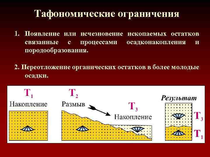 Тафономические ограничения 1. Появление или исчезновение ископаемых остатков связанные с процессами осадконакопления и породообразования.