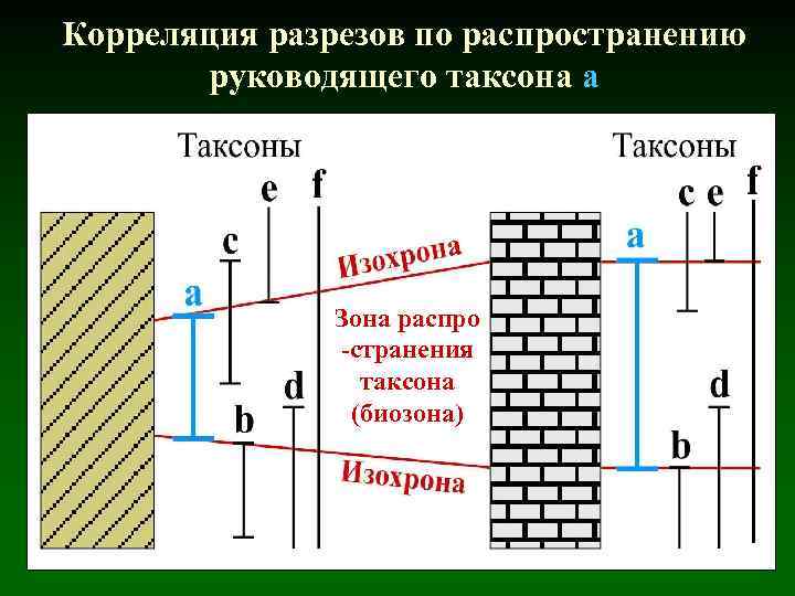 Корреляция разрезов по распространению руководящего таксона а Зона распро -странения таксона (биозона) 