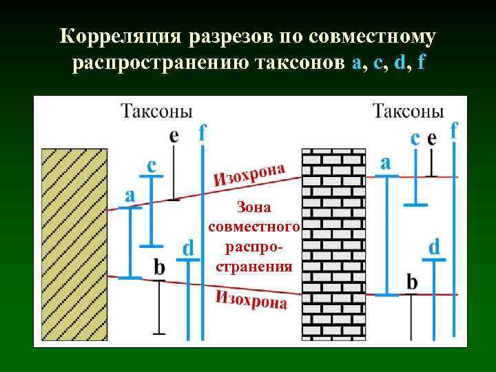 Корреляция разрезов по совместному распространению таксонов а, c, d, f Зона совместного распространения 