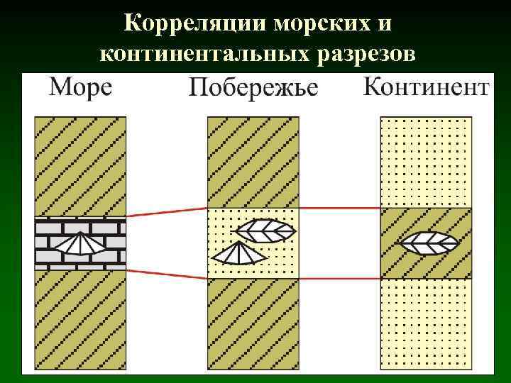 Корреляции морских и континентальных разрезов 