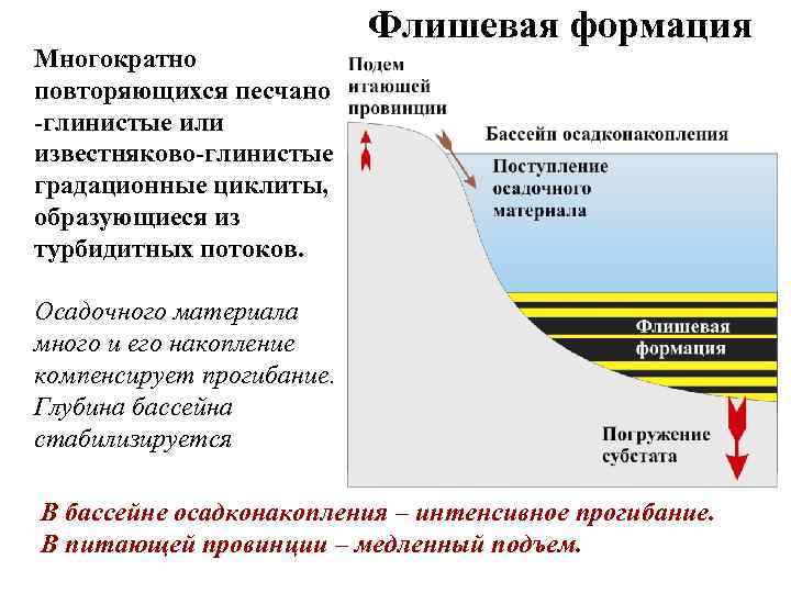 Многократно повторяющихся песчано -глинистые или известняково-глинистые градационные циклиты, образующиеся из турбидитных потоков. Флишевая формация
