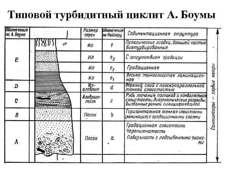 Типовой турбидитный циклит А. Боумы 