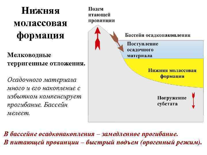 Нижняя молассовая формация Мелководные терригенные отложения. Осадочного материала много и его накопление с избытком