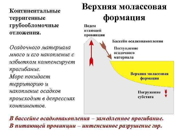 Континентальные терригенные грубообломочные отложения. Верхняя молассовая формация Осадочного материала много и его накопление с