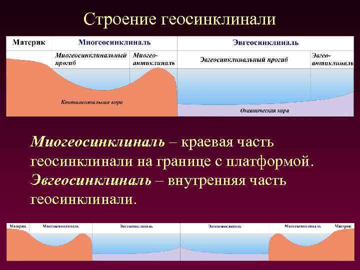 Строение геосинклинали Миогеосинклиналь – краевая часть геосинклинали на границе с платформой. Эвгеосинклиналь – внутренняя