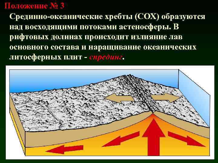 Положение № 3 Срединно-океанические хребты (СОХ) образуются над восходящими потоками астеносферы. В рифтовых долинах