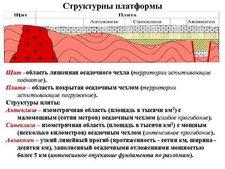 Структурны платформы Щит –область лишенная осадочного чехла (территории испытывающие поднятие). Плита – область покрытая