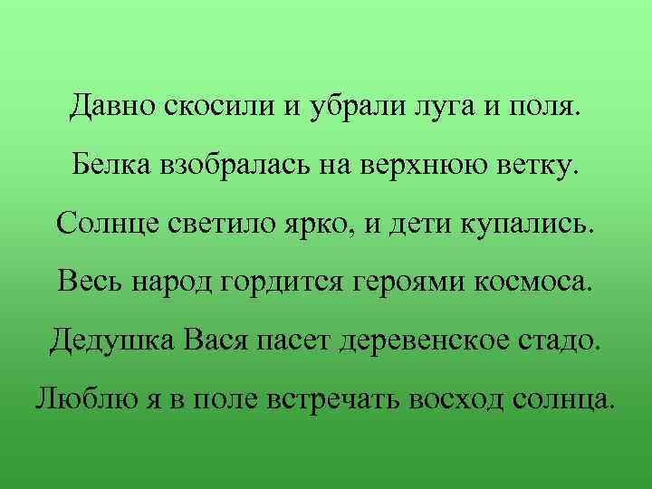 Давно скосили и убрали луга и поля. Белка взобралась на верхнюю ветку. Солнце светило