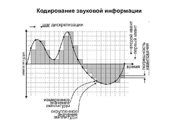 Кодирование звуковой информации 