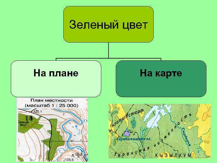 Зеленый цвет На плане лес На карте низины 