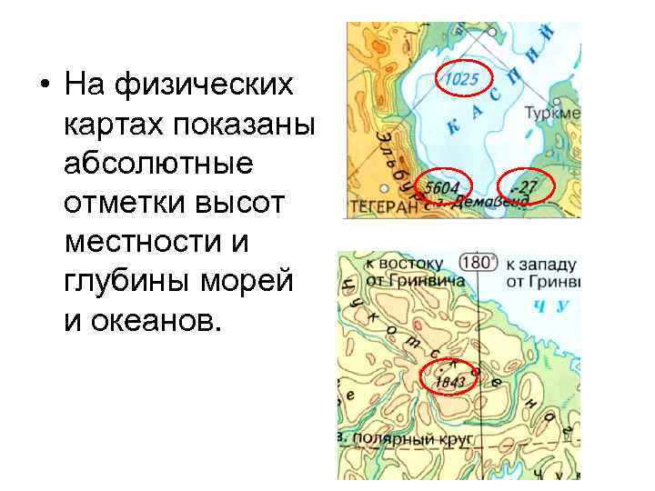  • На физических картах показаны абсолютные отметки высот местности и глубины морей и
