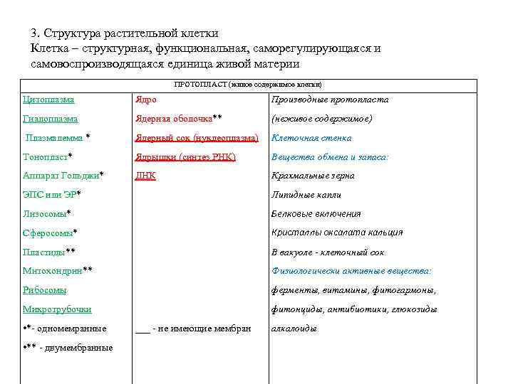 3. Структура растительной клетки Клетка – структурная, функциональная, саморегулирующаяся и самовоспроизводящаяся единица живой материи