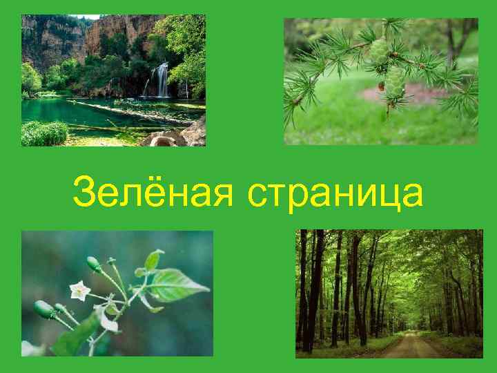 Зелёная страница 