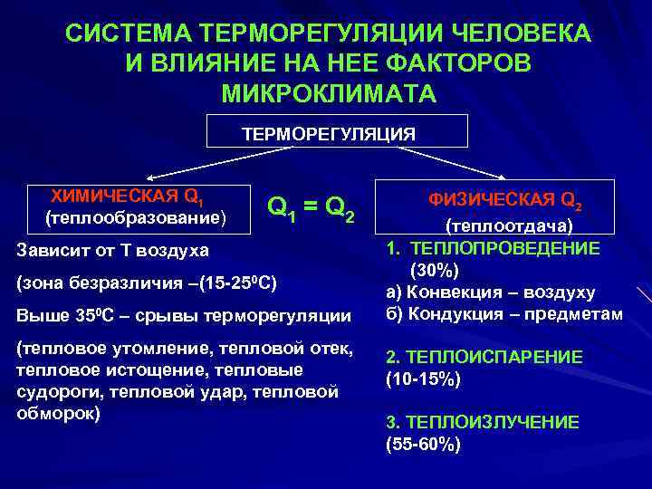 СИСТЕМА ТЕРМОРЕГУЛЯЦИИ ЧЕЛОВЕКА И ВЛИЯНИЕ НА НЕЕ ФАКТОРОВ МИКРОКЛИМАТА ТЕРМОРЕГУЛЯЦИЯ ХИМИЧЕСКАЯ Q 1 (теплообразование)