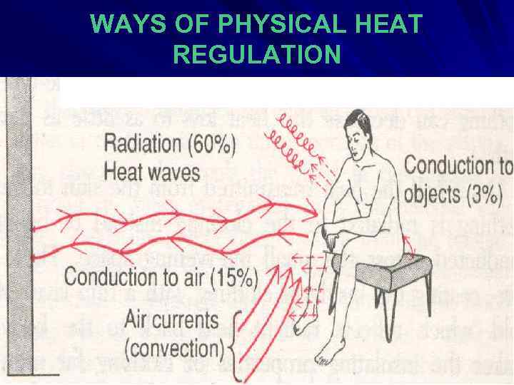 WAYS OF PHYSICAL HEAT REGULATION 