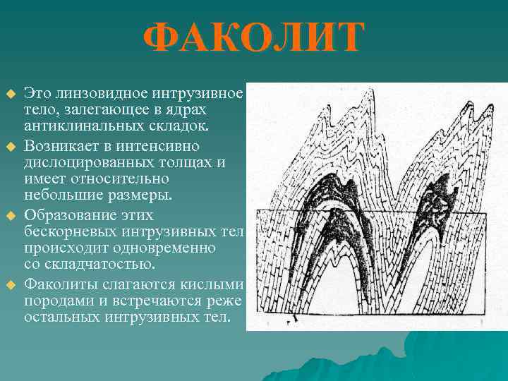 ФАКОЛИТ u u Это линзовидное интрузивное тело, залегающее в ядрах антиклинальных складок. Возникает в