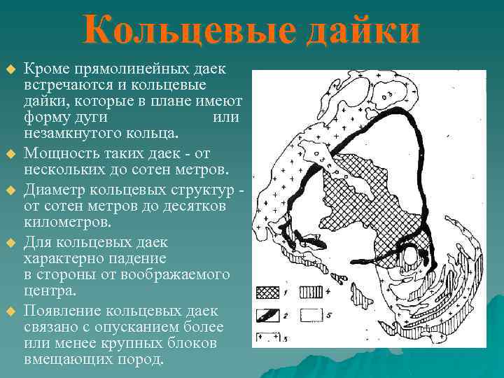 Кольцевые дайки u u u Кроме прямолинейных даек встречаются и кольцевые дайки, которые в