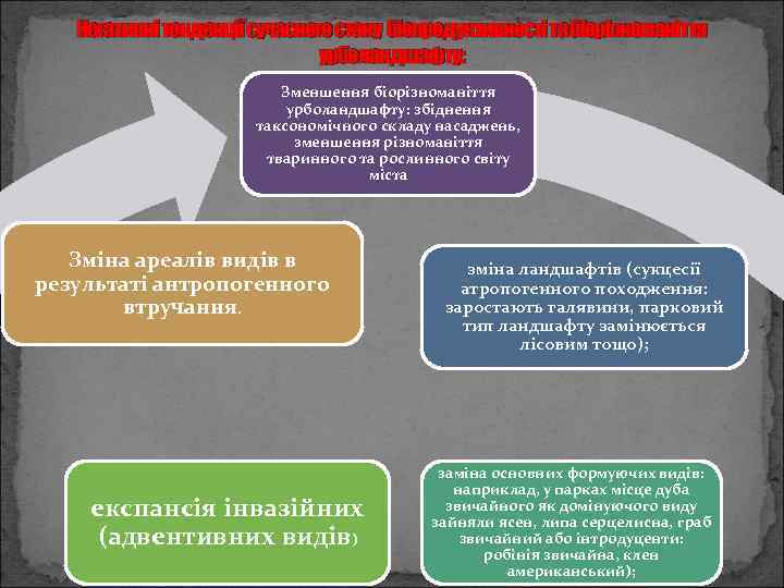 Негативні тенденції сучасного стану біопродуктивності та біорізноманіття урболандшафту: Зменшення біорізноманіття урболандшафту: збіднення таксономічного складу