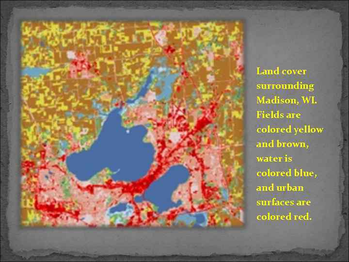 Land cover surrounding Madison, WI. Fields are colored yellow and brown, water is colored