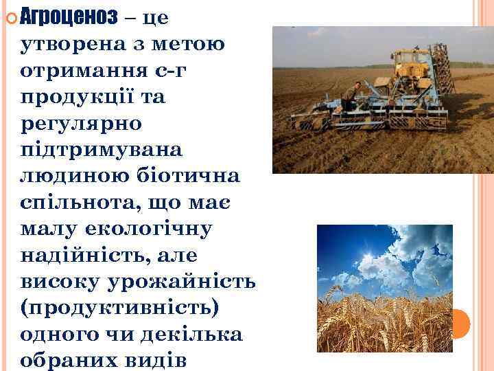  Агроценоз – це утворена з метою отримання с-г продукції та регулярно підтримувана людиною