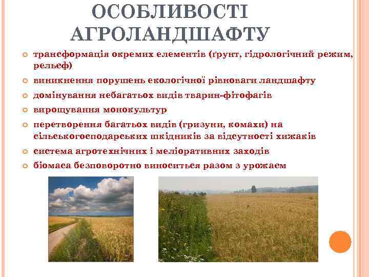ОСОБЛИВОСТІ АГРОЛАНДШАФТУ трансформація окремих елементів (ґрунт, гідрологічний режим, рельєф) виникнення порушень екологічної рівноваги ландшафту