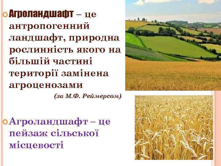  Агроландшафт – це антропогенний ландшафт, природна рослинність якого на більшій частині території замінена