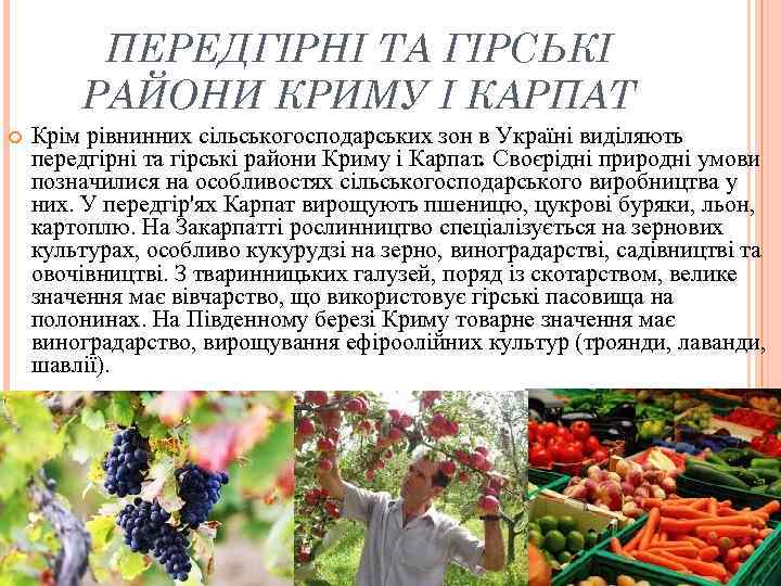 ПЕРЕДГІРНІ ТА ГІРСЬКІ РАЙОНИ КРИМУ І КАРПАТ Крім рівнинних сільськогосподарських зон в Україні виділяють