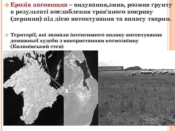  Ерозія пасовищна – видування, змив, розмив ґрунту в результаті послаблення трав'яного покриву (дернини)