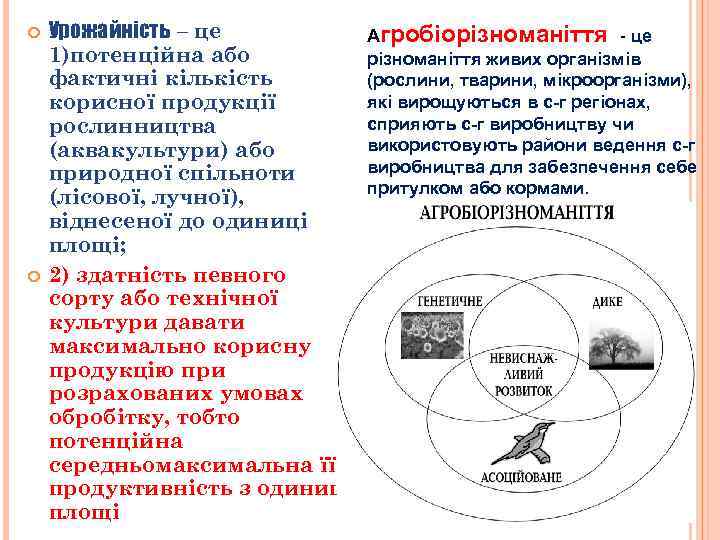  Урожайність – це 1)потенційна або фактичні кількість корисної продукції рослинництва (аквакультури) або природної