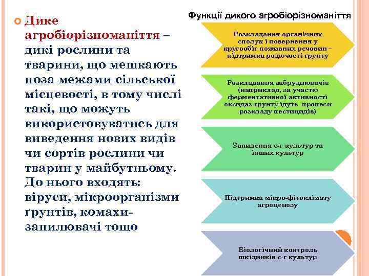  Дике агробіорізноманіття – дикі рослини та тварини, що мешкають поза межами сільської місцевості,