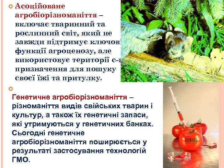  Асоційоване агробіорізноманіття – включає тваринний та рослинний світ, який не завжди підтримує ключові