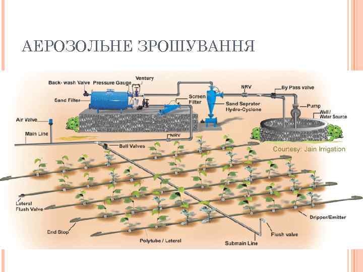 АЕРОЗОЛЬНЕ ЗРОШУВАННЯ 