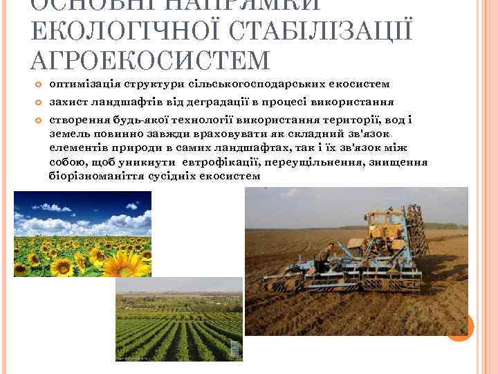 ОСНОВНІ НАПРЯМКИ ЕКОЛОГІЧНОЇ СТАБІЛІЗАЦІЇ АГРОЕКОСИСТЕМ оптимізація структури сільськогосподарських екосистем захист ландшафтів від деградації в
