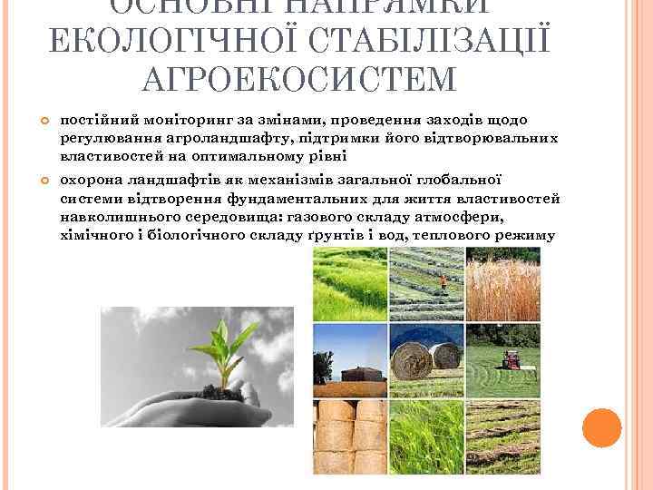 ОСНОВНІ НАПРЯМКИ ЕКОЛОГІЧНОЇ СТАБІЛІЗАЦІЇ АГРОЕКОСИСТЕМ постійний моніторинг за змінами, проведення заходів щодо регулювання агроландшафту,